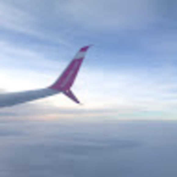 Meet your Posher, Sophie - Picture 1 of 1